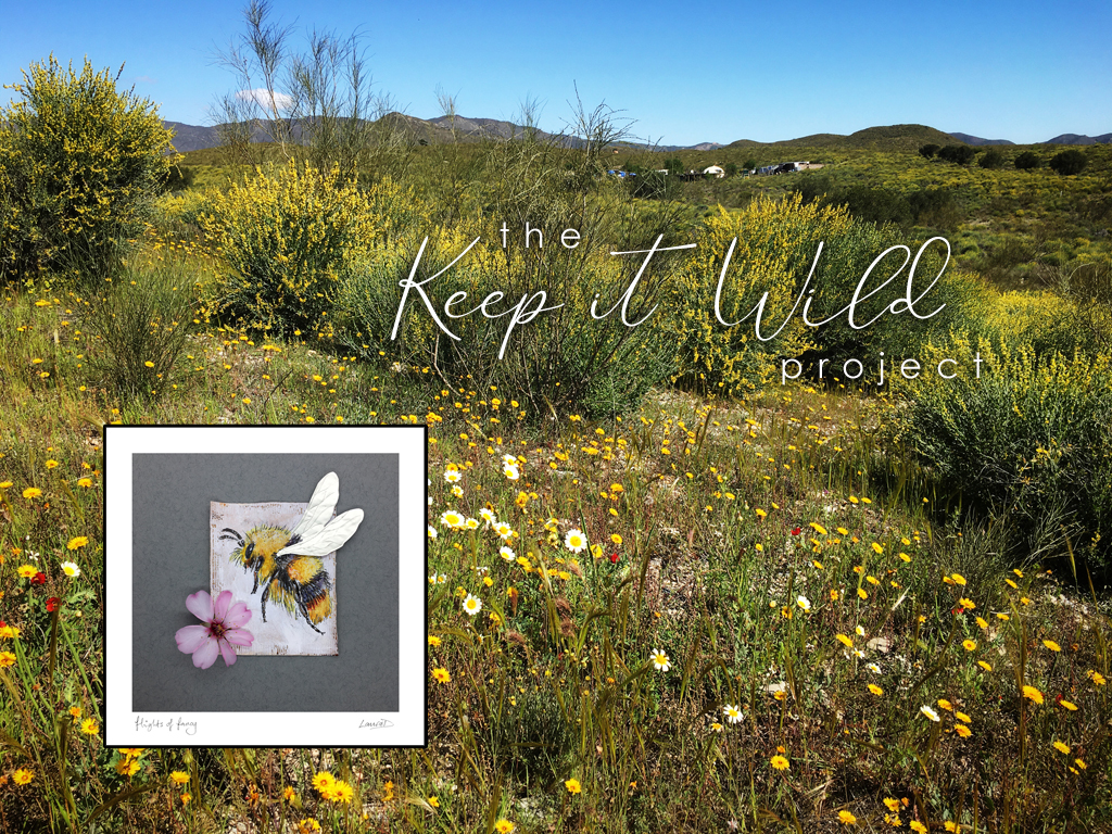 keep it wild.jpg